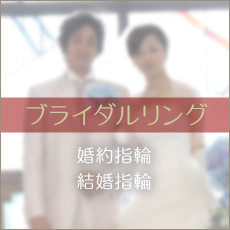 �u���C�_�������O